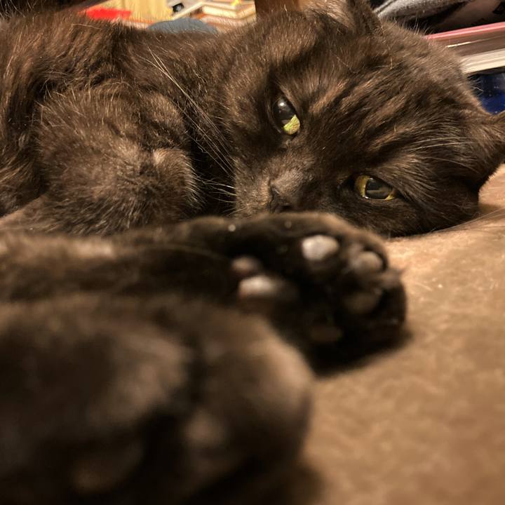 E2c40351 8448 4016 be8b 86e27543c5a7 1605624537142