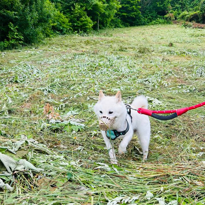 E2c413c4 3abd 47db b007 bf7134558bab 1687992614817