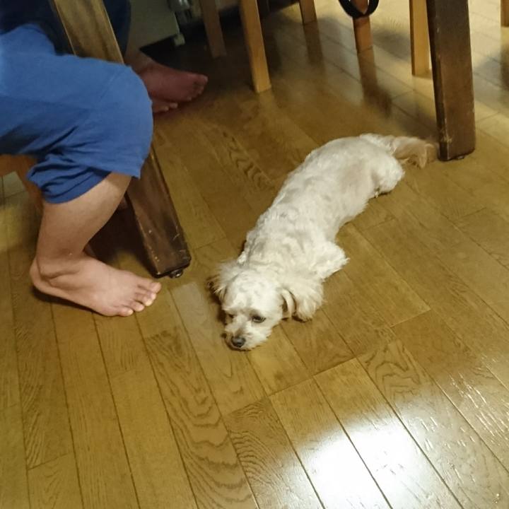 E2c41afc 608b 4838 9842 4caa023fd30c 1596622081953