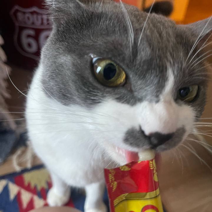 E2c44a09 34e8 4a8f 9834 9f72a67d9ec0 1628062272633