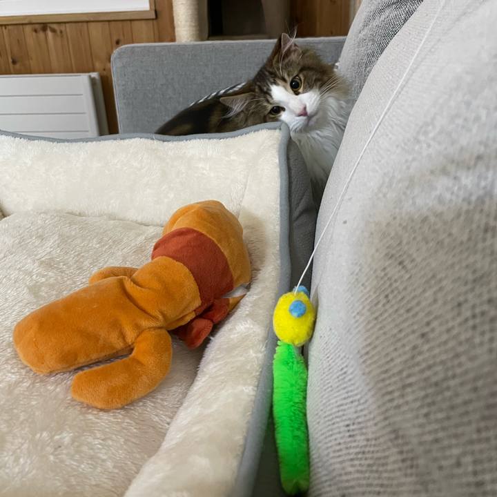 E2c44ae6 6a2d 4896 8d5b 3f4bd0c682cc 1638481992605