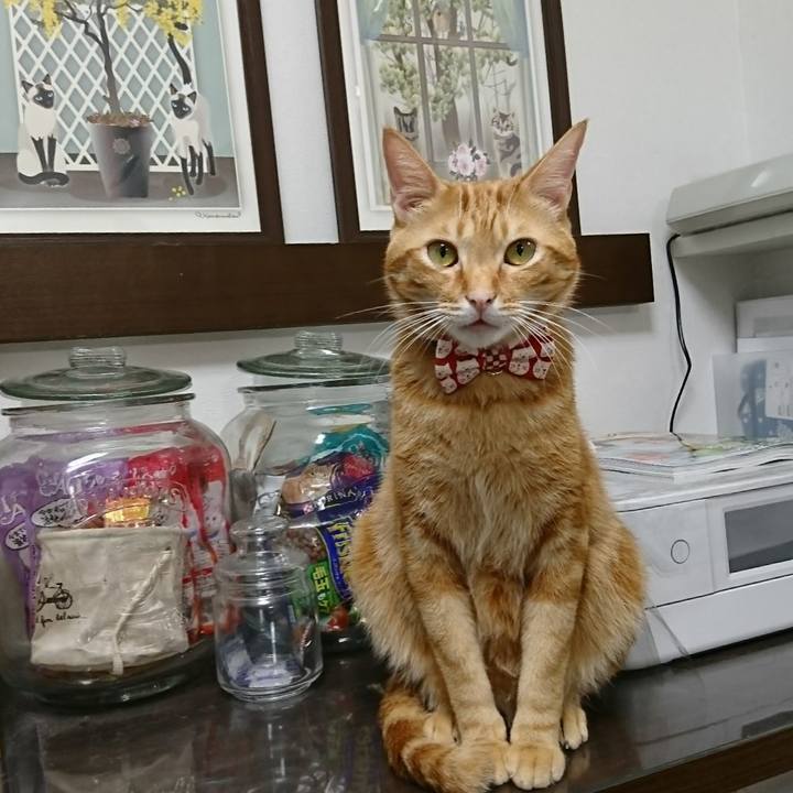 E2c4616f 6635 44f8 8732 96c50116aed5 1513500497767