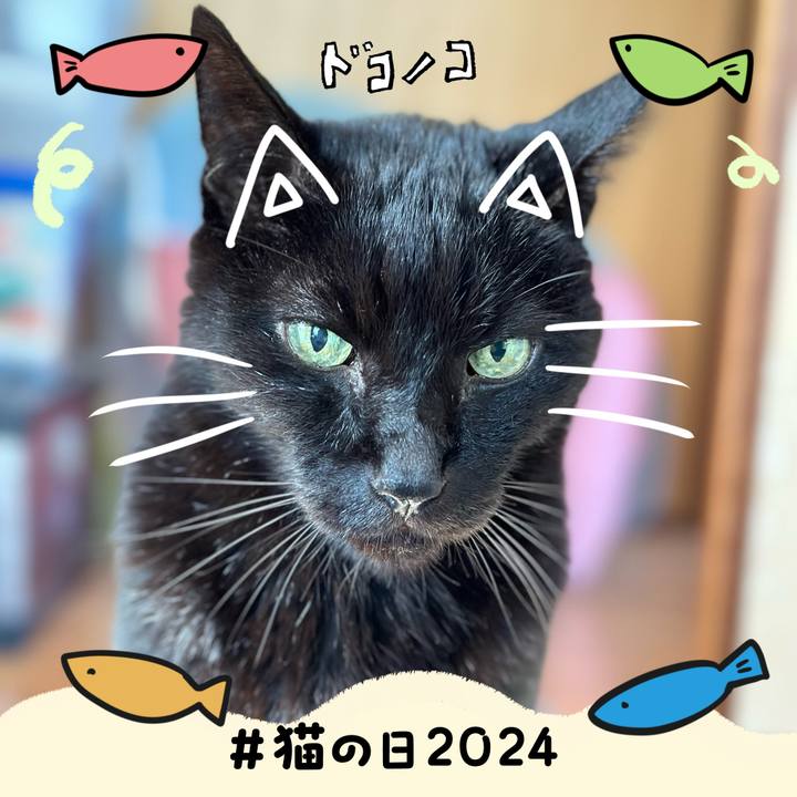 E2c468b8 ab94 4677 bb76 e2f5556ac098 1708568460672