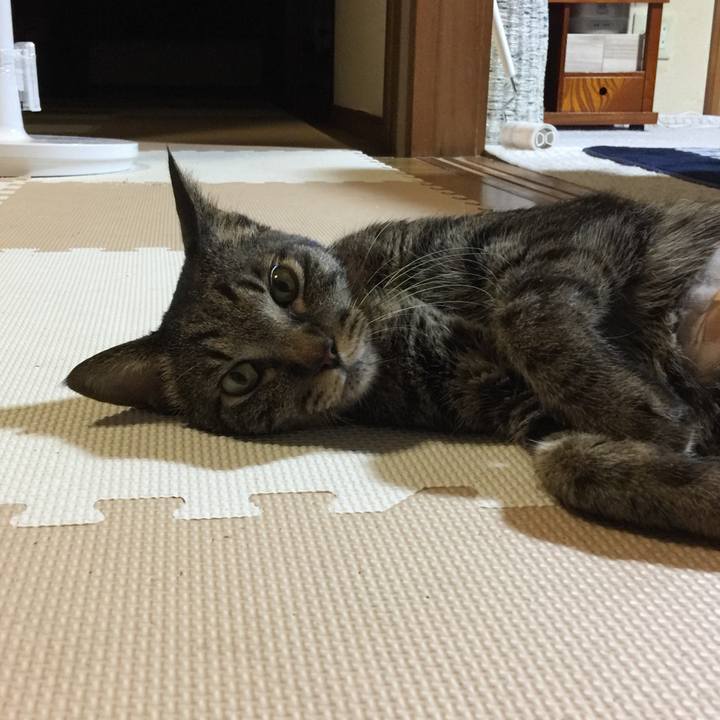 E2c47306 3248 4903 a4f3 538d1afb8f78 1533811286938