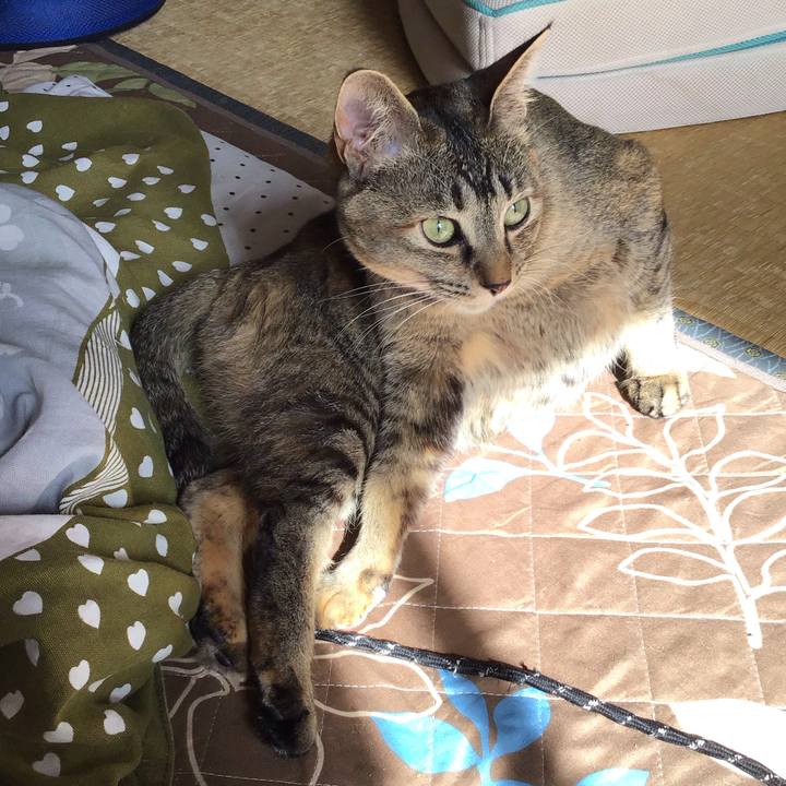 E2c4b960 8553 4018 acc5 9f4fb15359d2 1587439778957