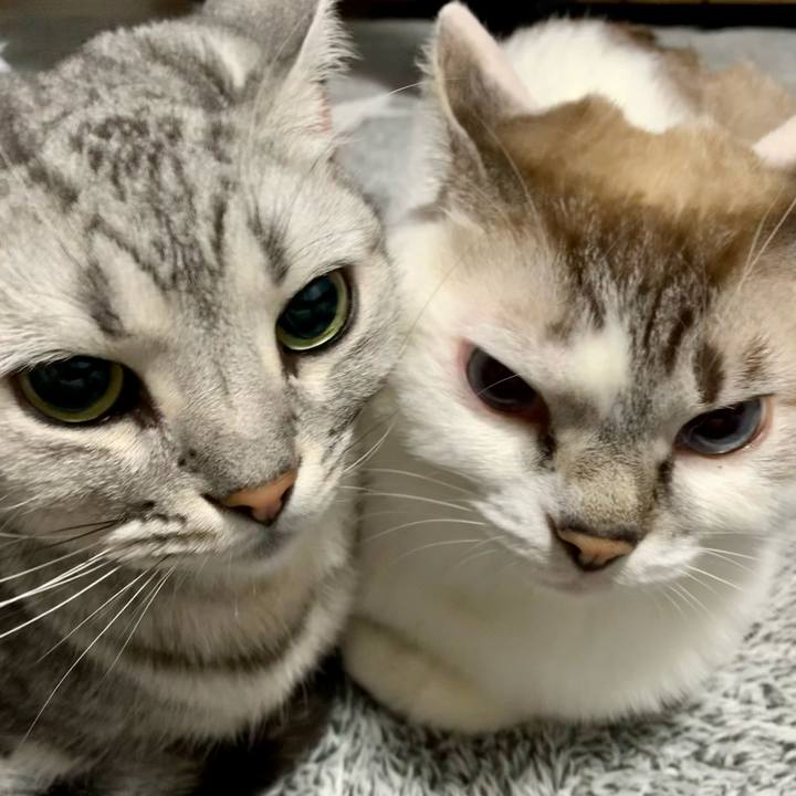 E2c4f5ff 0106 41b3 a22a 94e0a78b7702 1639486809286