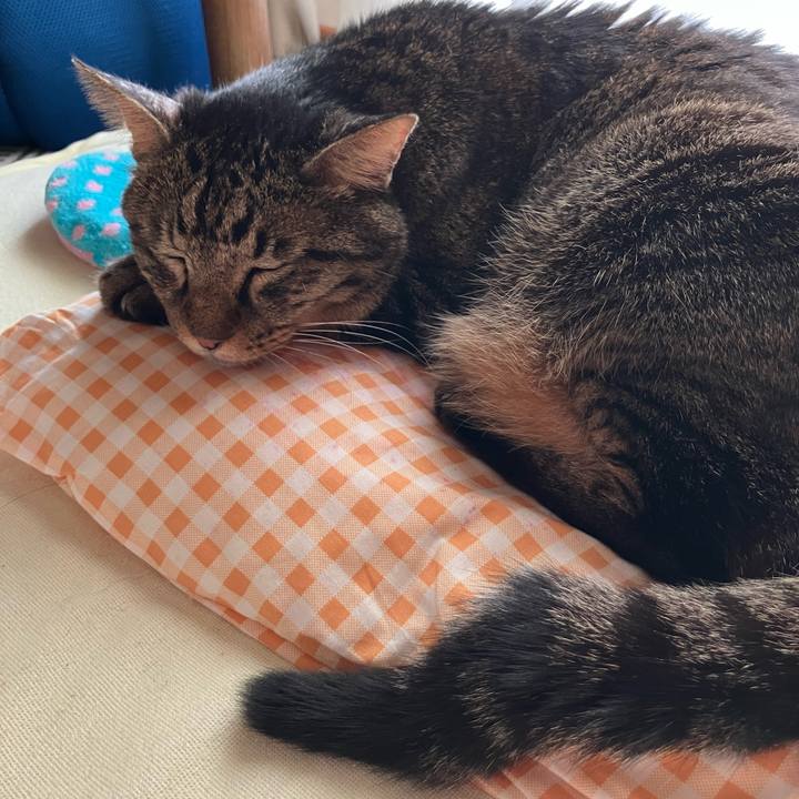 E2c501e6 fb2c 4d97 997e a14cee73c760 1758576671924