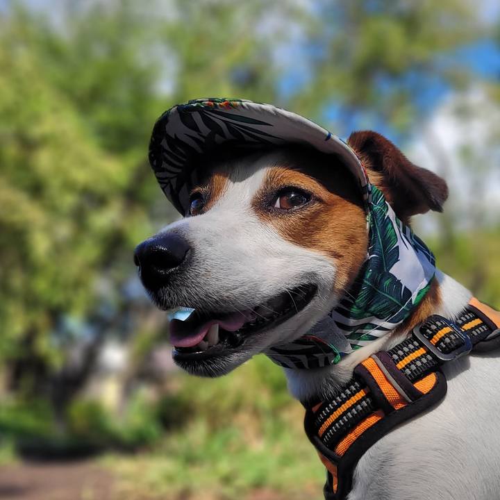 E2c50b55 30e9 4e9e bd2e 20a6a6d64f66 1692494252012