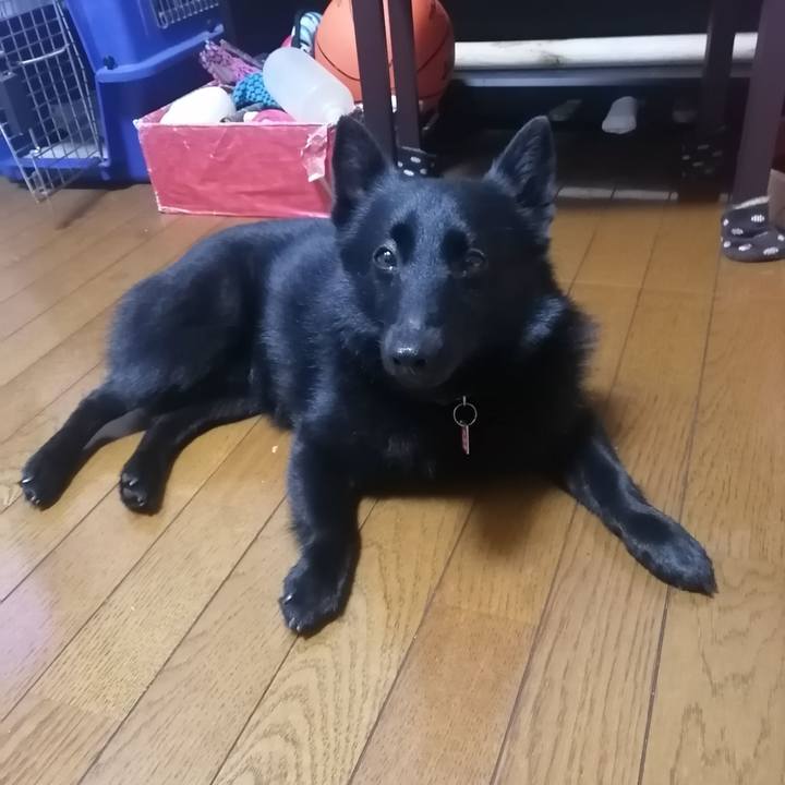 E2c549f5 8ab5 4d27 8eb4 8b1490cbcaf0 1622756991008