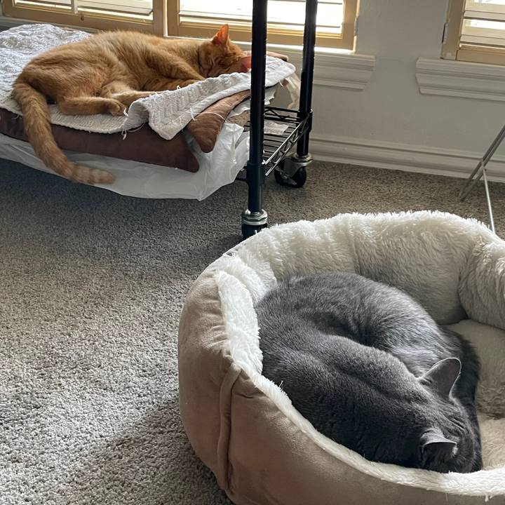 E2c582a8 e777 4b04 994f 61fbf057fb30 1694227853711