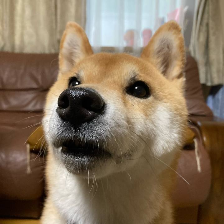 E2c5af49 380a 4dfe af3e e5a0c5cc2c3c 1655717657722