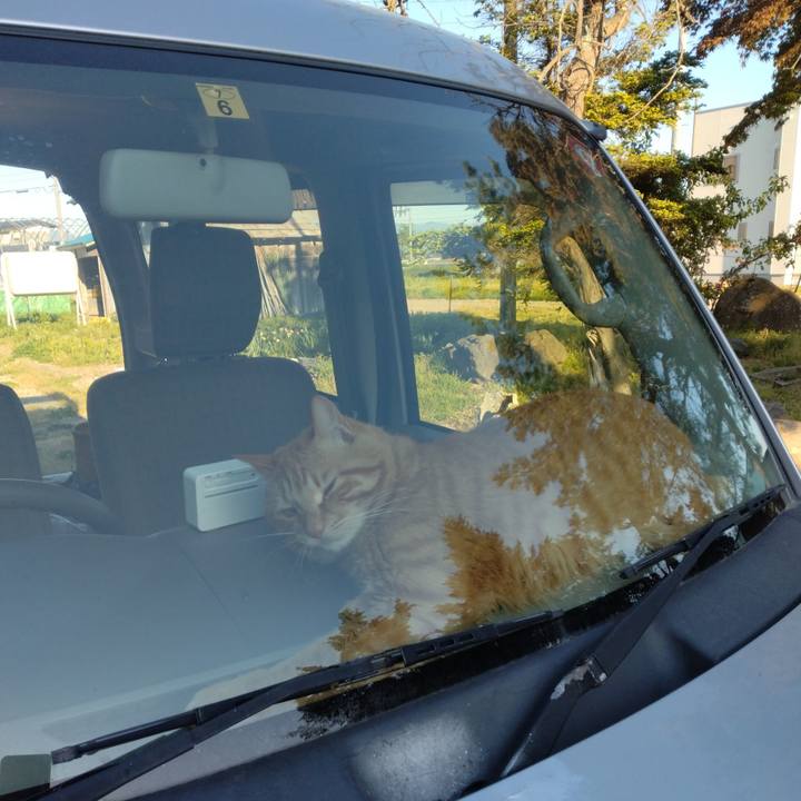 E2c5af93 4a14 4cb8 81a0 ea5f87157c6d 1714642665075