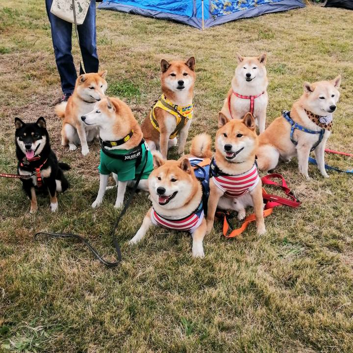 E2c5f7cb 61f7 4c15 956c cef94fe8eeb9 1604832836625