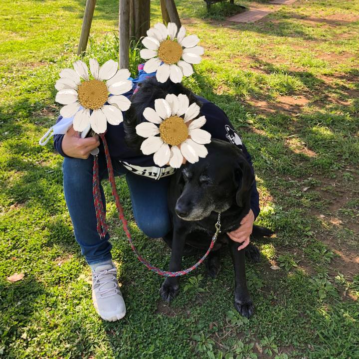 E2c6081b 85ff 4cfc 8337 b102c0e96a96 1618126083471