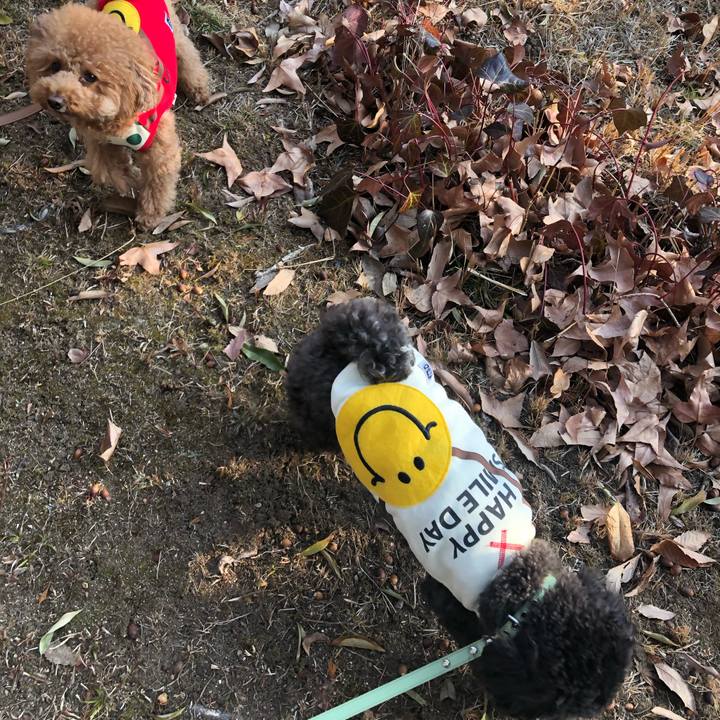 E2c622a5 9657 4970 b250 4f6dbe0e5020 1611232329382