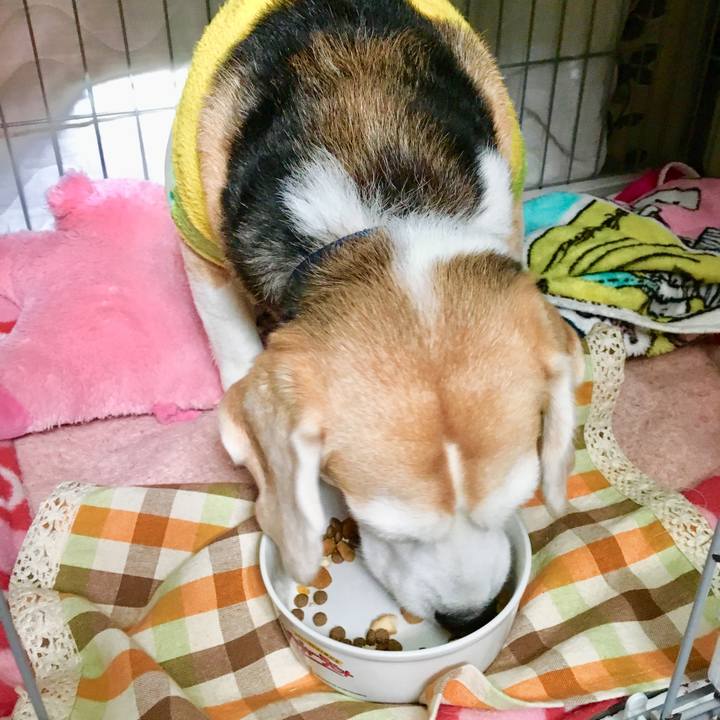 E2c63e05 aeb0 40b9 9cbc 47923126092b 1553746813917