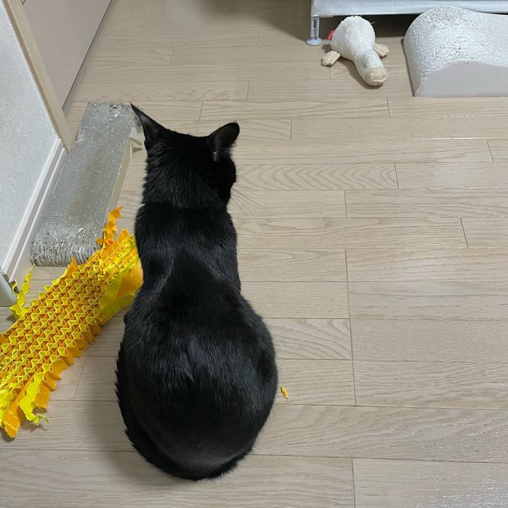 E2c6bc5c bfa9 4617 9dbf 3b5697af1b52 1681476676448