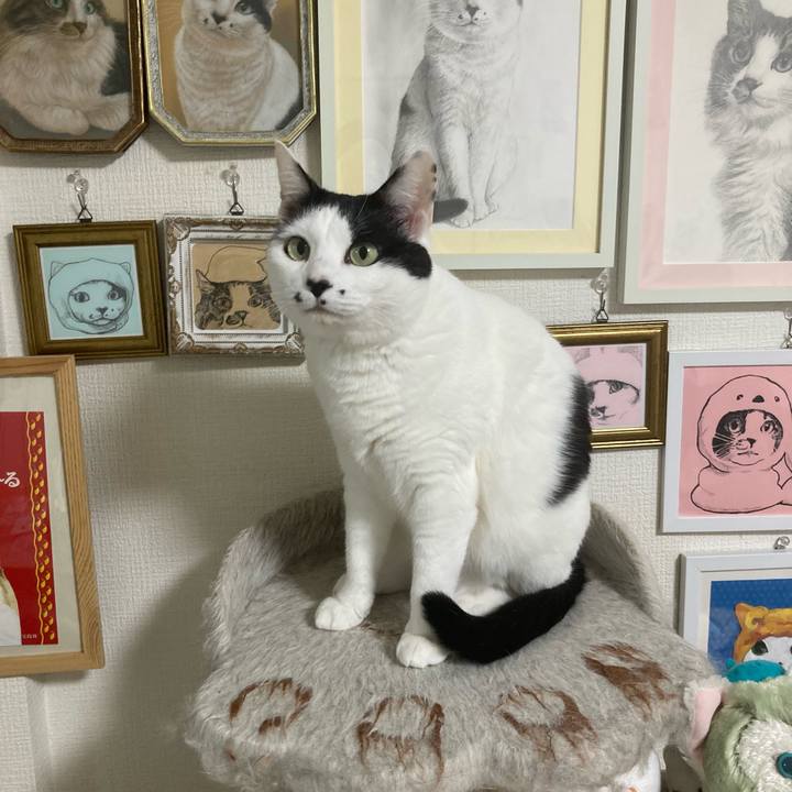 E2c6d596 de30 494f ae3a 4712cdbac071 1772225368786