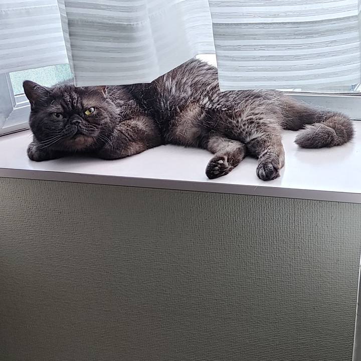 E2c7113a 6986 42c5 afba 9798be303d97 1629238408954