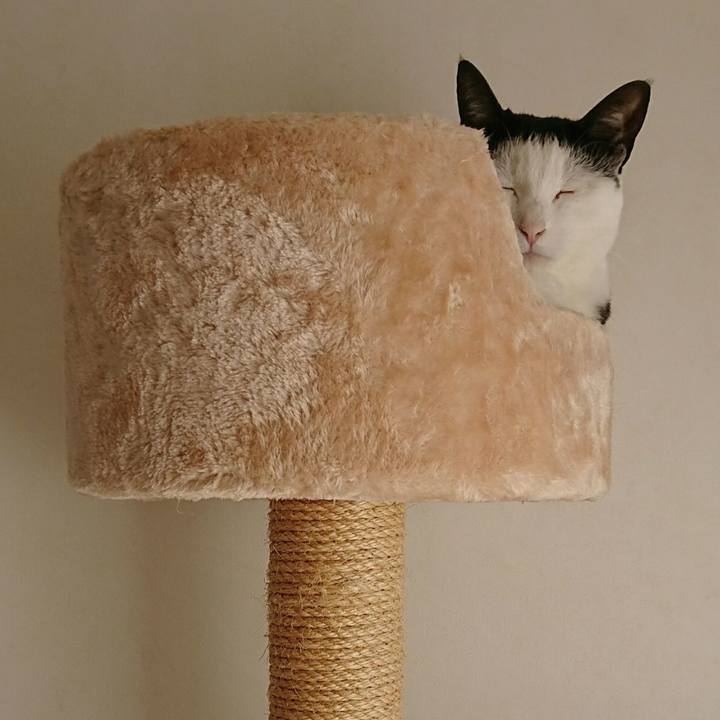 E2c731d3 555d 4992 938f 1a04b6e56275 1548039273707