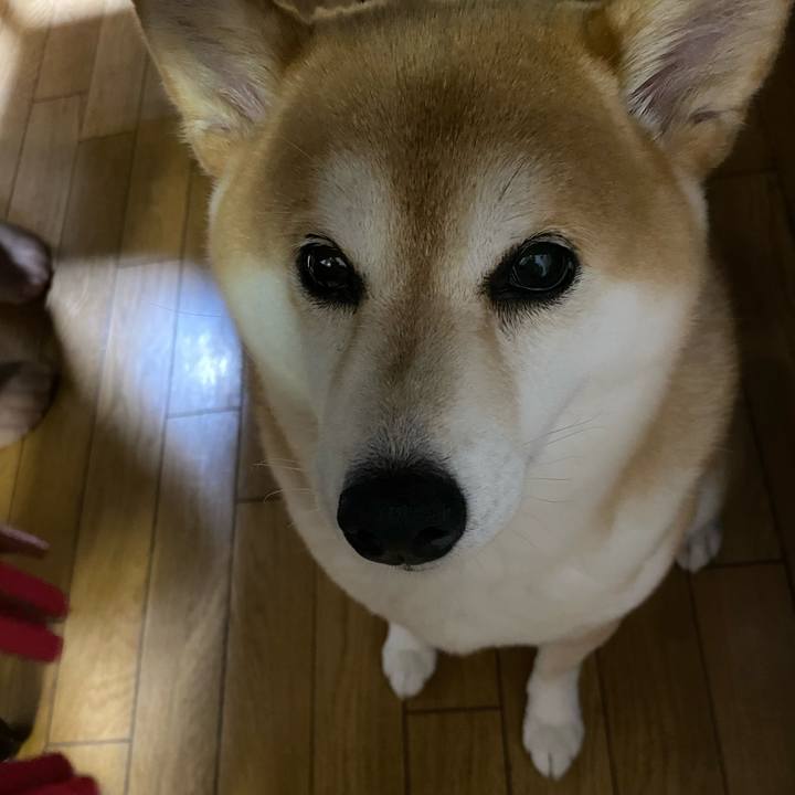 E2c73753 e8f1 410c 91c1 e5e4f1b75328 1599569246312