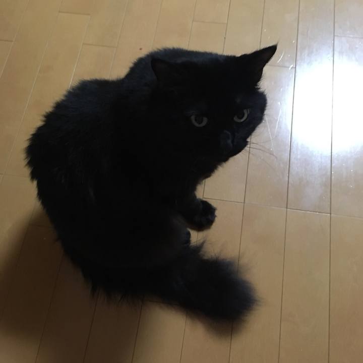 E2c7762b b070 4c08 aeca e03f4f3ca19f 1536246546015