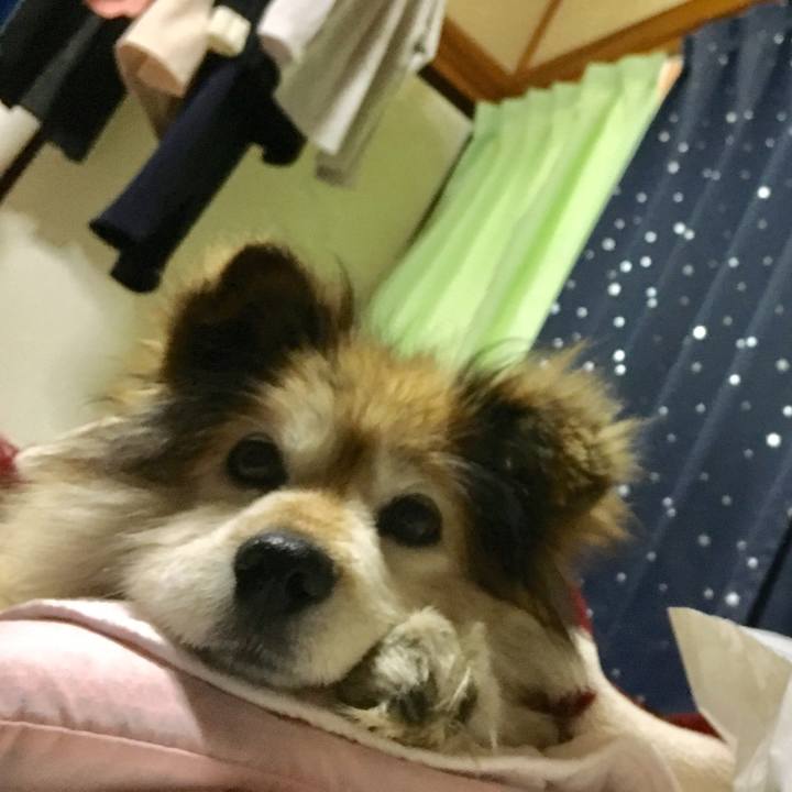 E2c77c53 8797 489c 8eea 753d1c7d85d5 1584235899160