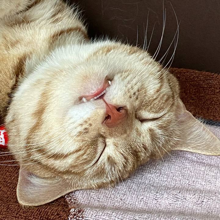 E2c7883f 6728 4649 b2fb 44b2c54d6332 1630635038759