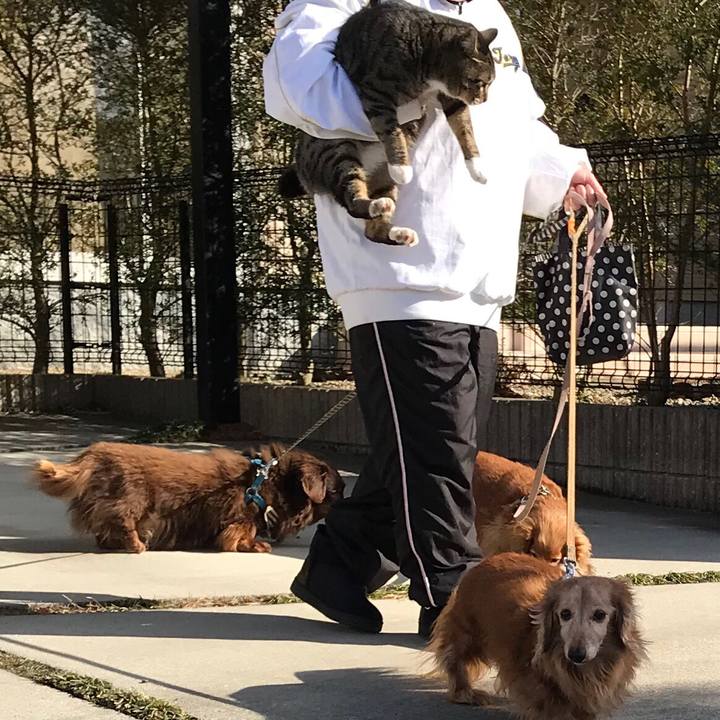 E2c788a8 5771 4ba6 90d4 3701184f3f4c 1515646715634