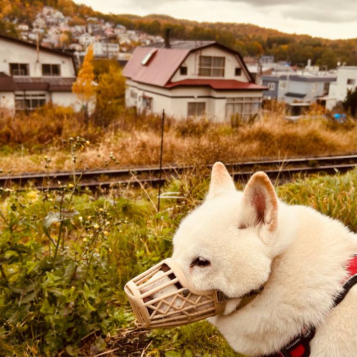 E2c799f3 e22b 4200 b6c7 01bacd2464a3 1761517318760