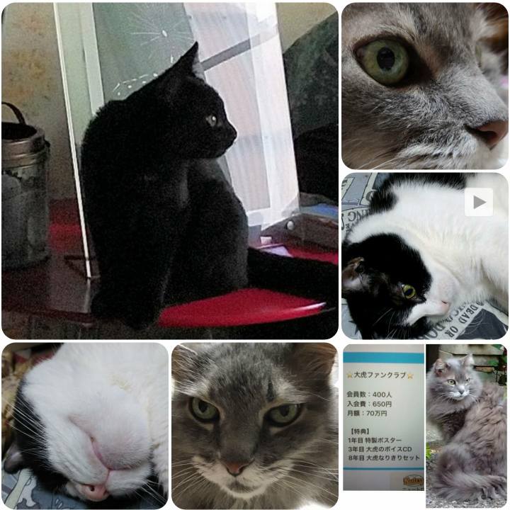 E2c7acdb 1109 4888 93e6 a98ce8e111c5 1568543571254