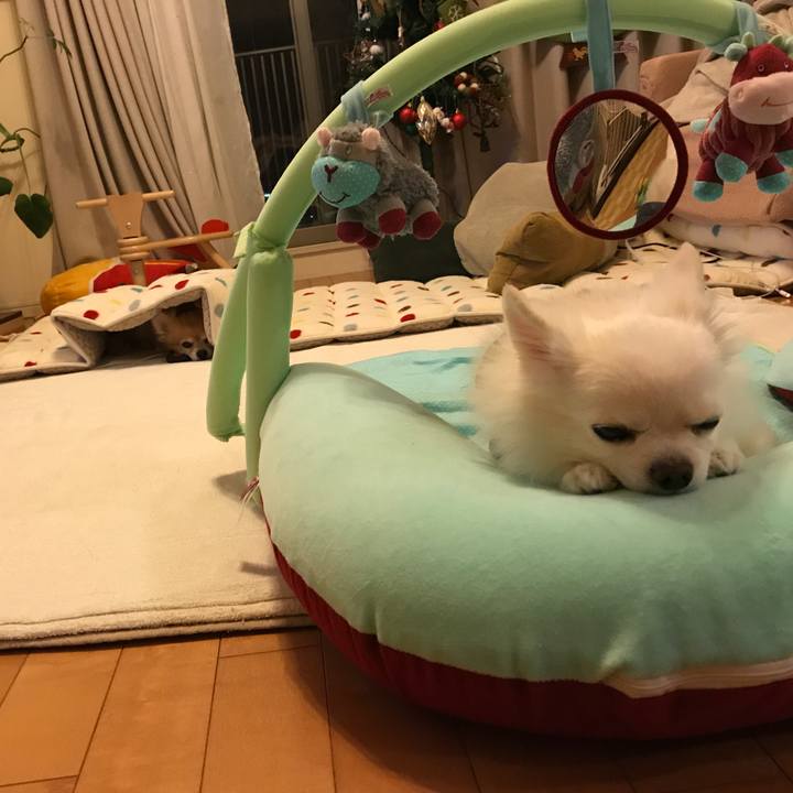 E2c7ddc1 1d47 4bd9 ba6e bd8b81bdbd75 1513164102675