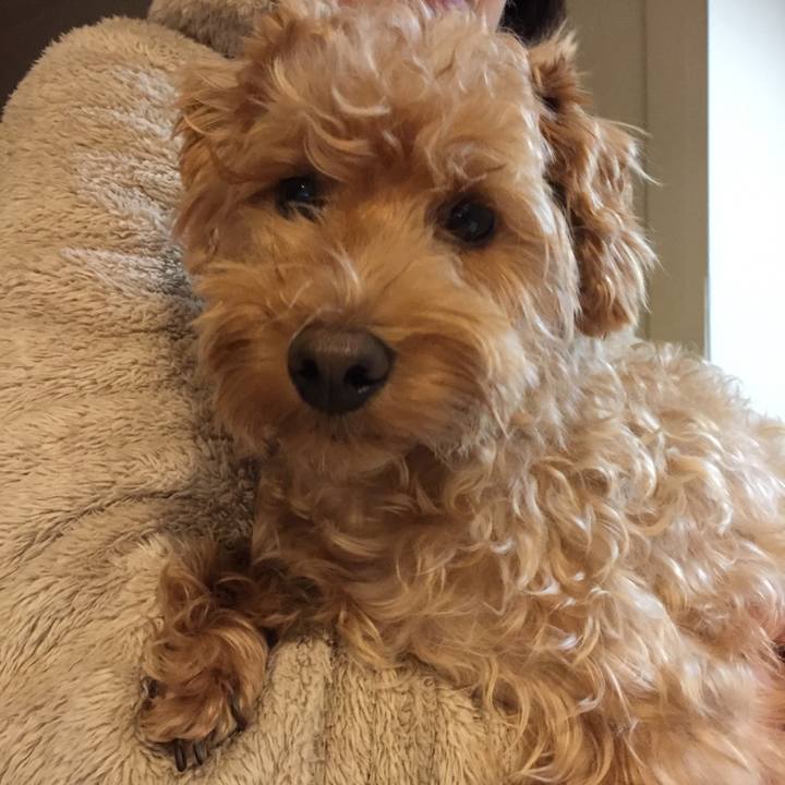 E2c801ea e732 4d45 87e2 1b35e5b1c2a8 1508244336484