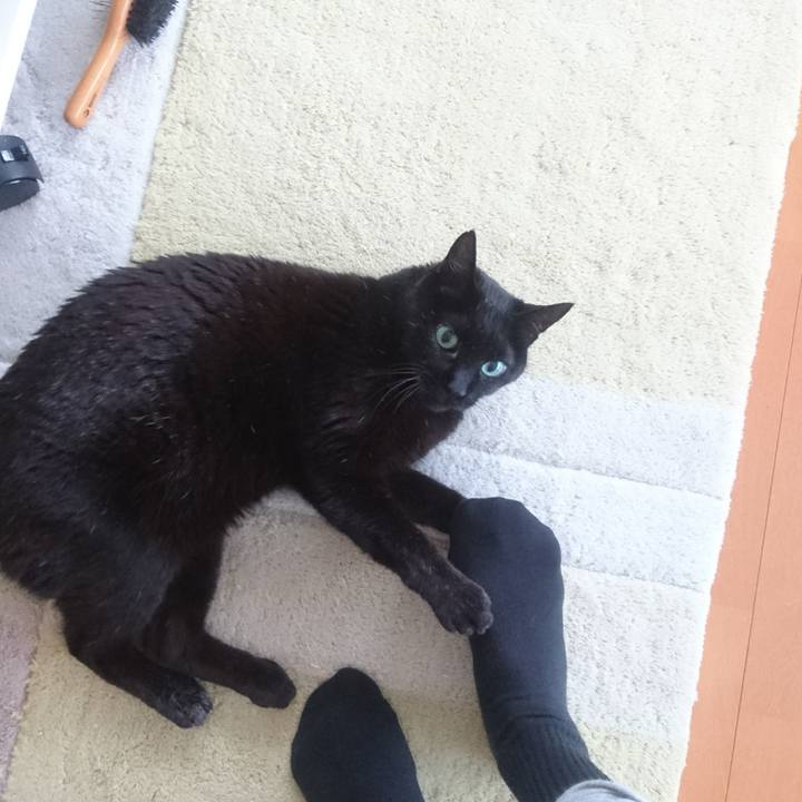 E2c80a15 efe4 4650 8b47 2a0ffcc9cf77 1524572970433