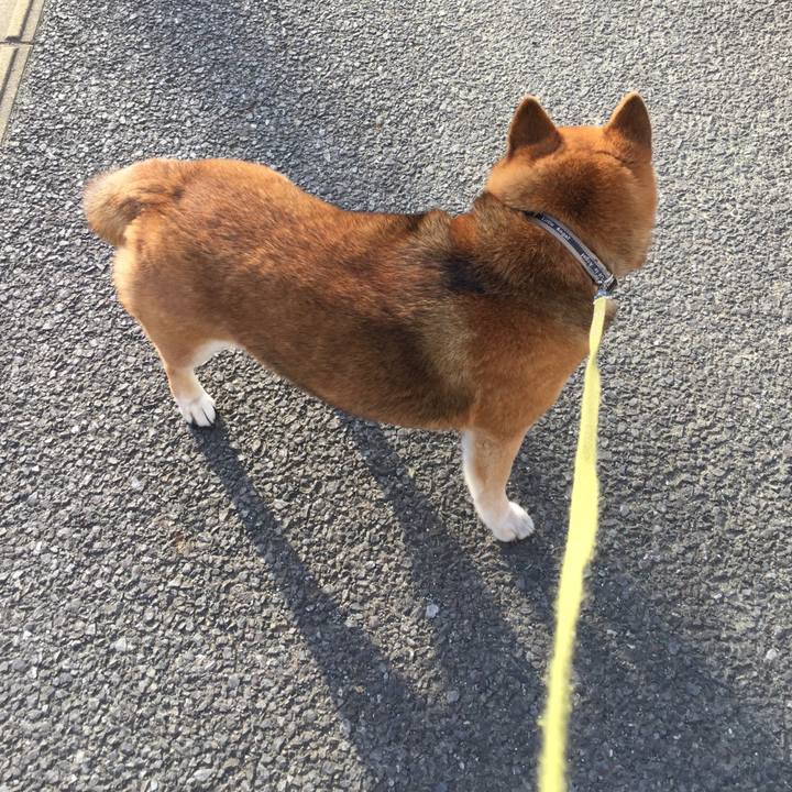 E2c80f20 1092 4903 85e3 fcf79d65b49c 1621067364726