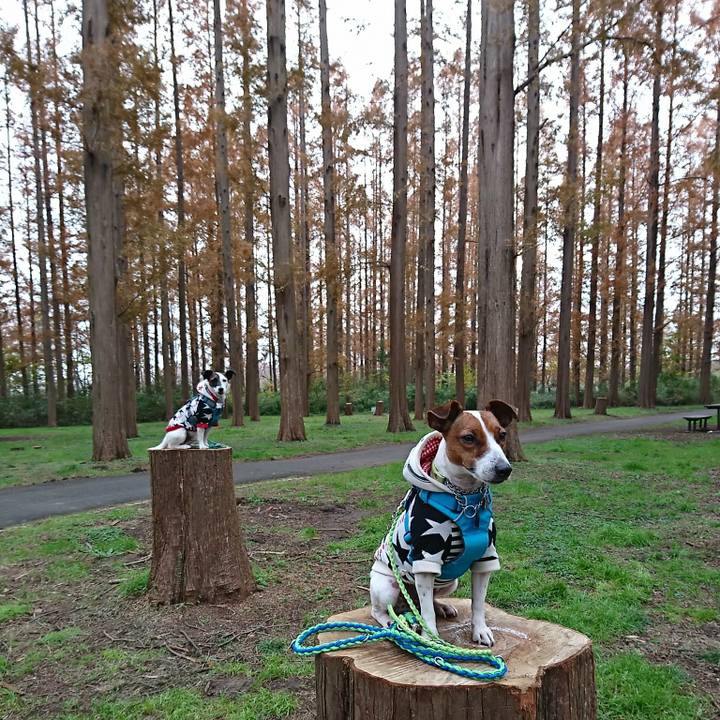 E2c80fdb 40a7 4769 9f1c 752feb8d46af 1576052653630