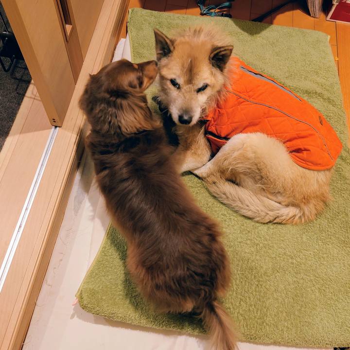 E2c81081 7c99 4030 8b59 924c72c3b743 1610406423578