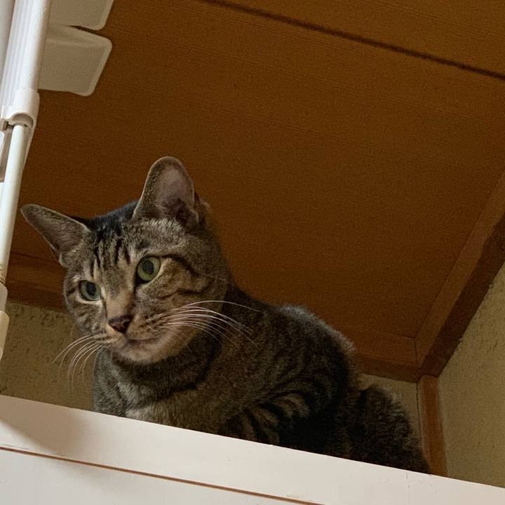 E2c8221e c73d 4b5e 86d4 33a4273ce916 1546821781620