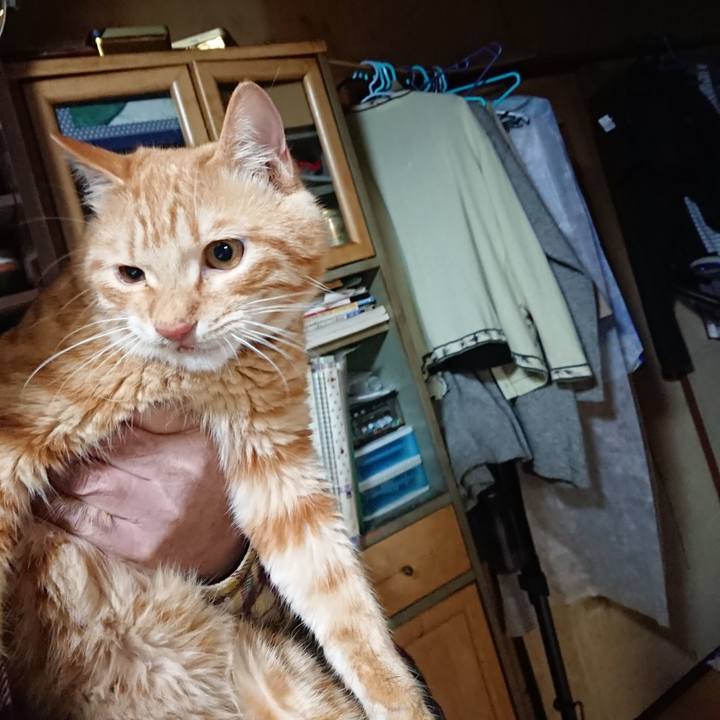 E2c8235c 71b5 4199 ad9c 8961ed3b9b80 1639485006682