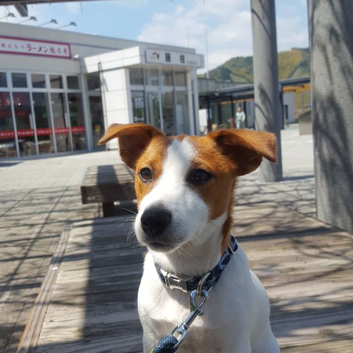 E2c82e6b 107e 402d b3f9 e72c3afe2915 1555563440960