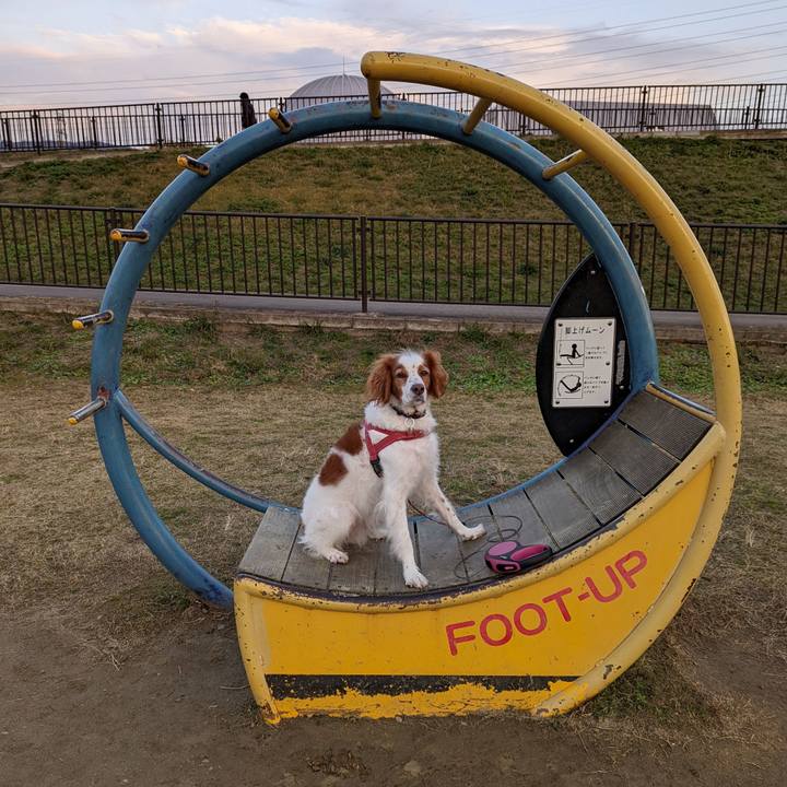 E2c87911 c4ae 4f65 9a1d e9d40150b169 1639136431826