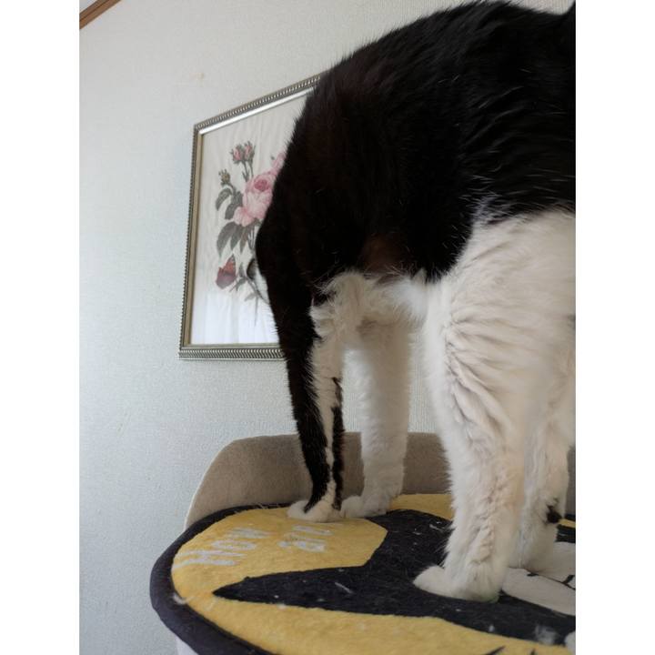 E2c8e672 3073 4328 bf30 b9cc8c0111f1 1738987407328