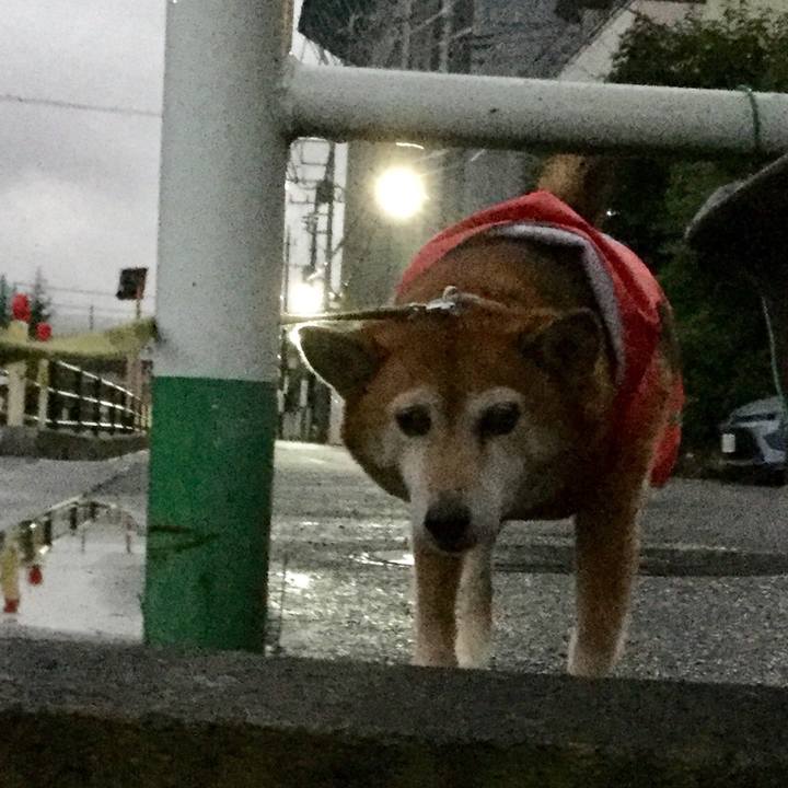 E2c91d2e d2a0 4017 bdeb ed10af5758a8 1634115371553