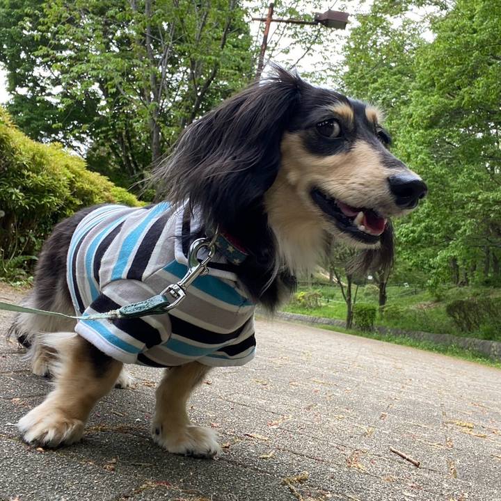 E2c96849 0546 4530 9a6b 8b50f9208436 1745125614079