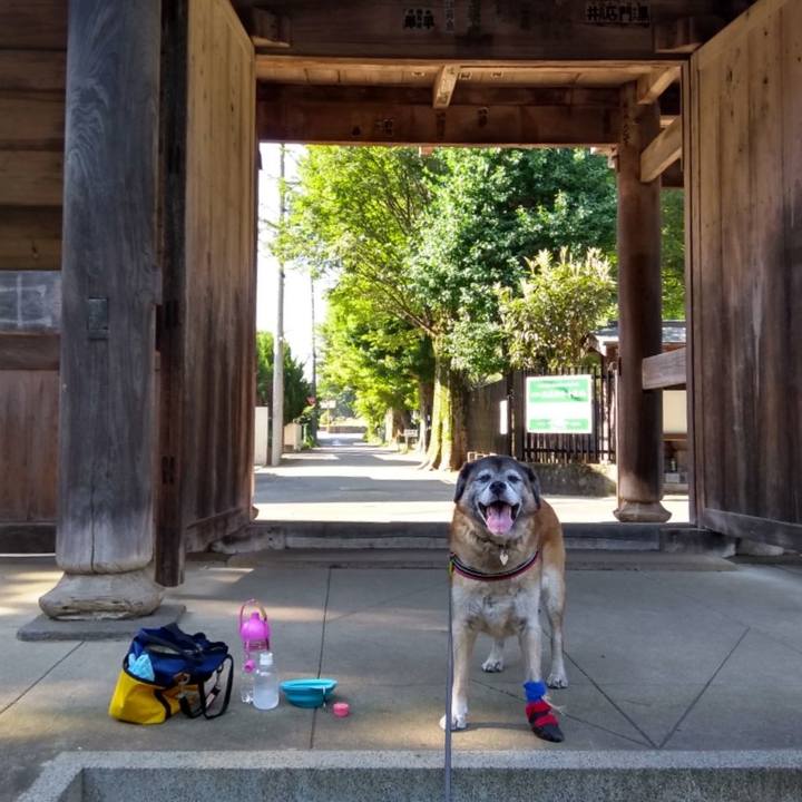 E2c989ec 28ed 4981 aecc 321833bc05a2 1565220661393