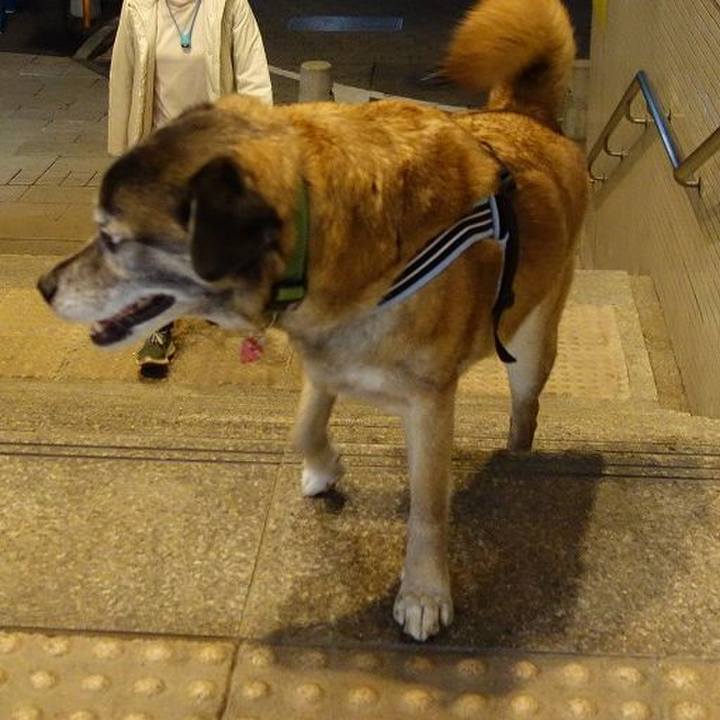 E2c99ecd 6549 405c be1a 3e292d51287b 1520681738152