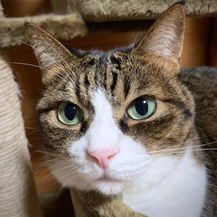 E2c9c579 30a1 49b7 91c6 429ee89a96b0 1570973155658