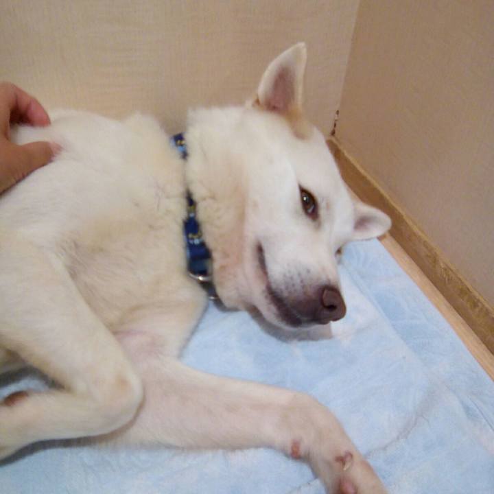 E2c9ce49 c2e6 4fa2 a6e2 6cc8fa08d152 1529202849363