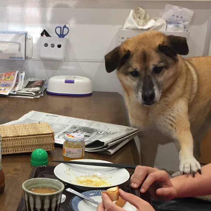 E2ca09fc e873 4f05 8619 8f7bc11b58ee 1527812521495