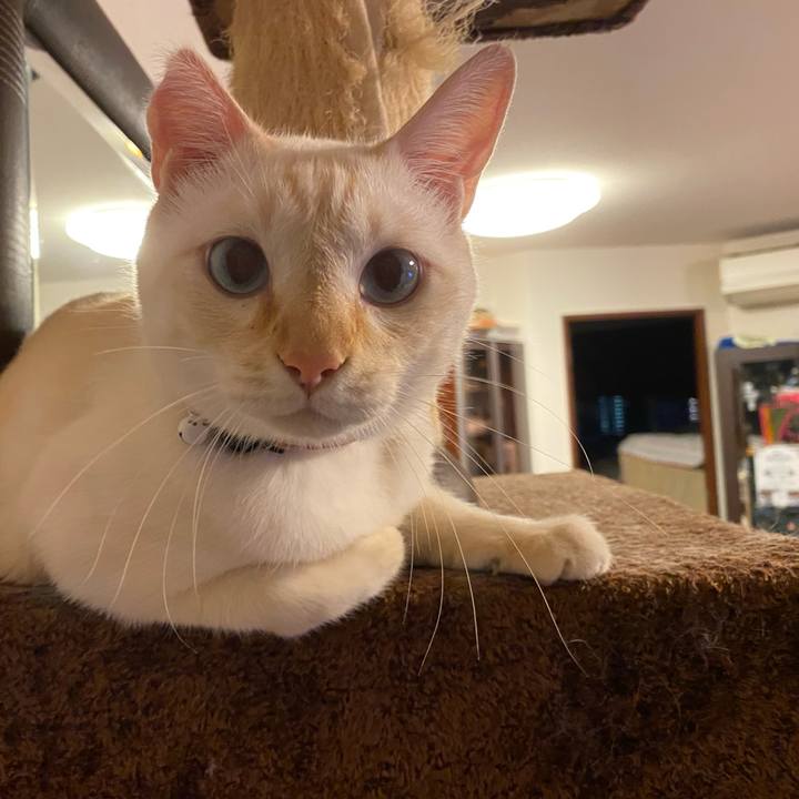 E2ca2f02 b862 4546 ac22 fad44d5daebe 1730983049345